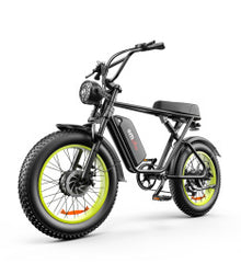C91-20 Inch Dual-drive High-speed Electric Bike